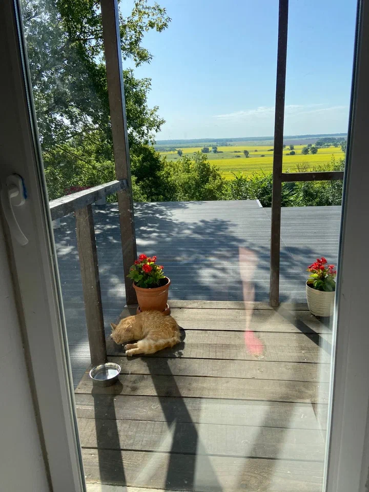 Отзывы о компании Woodgrand